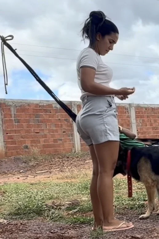 Kelpinho image 28