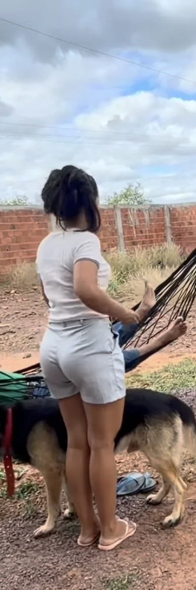 Kelpinho image 33