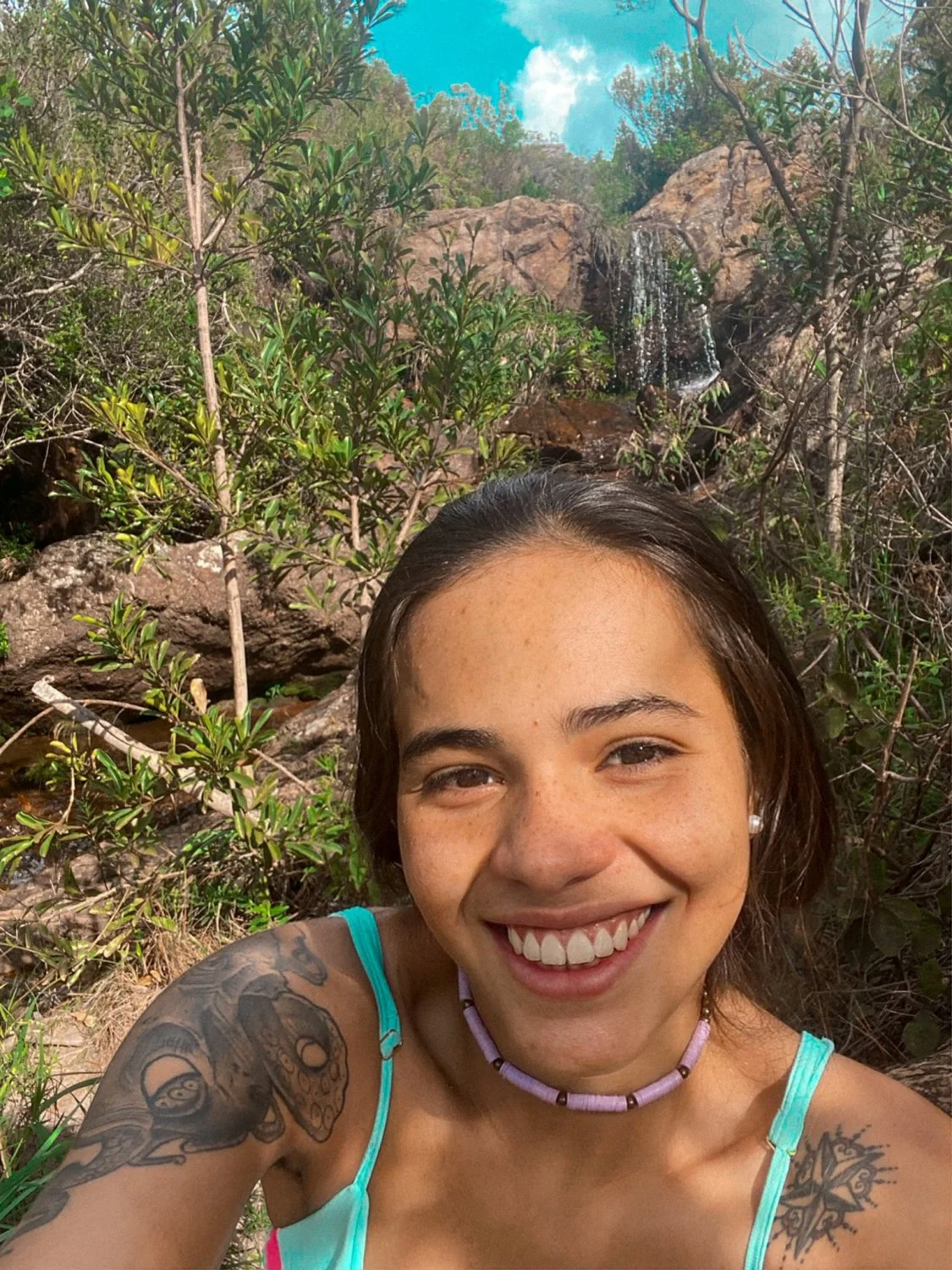 Catarina image 18