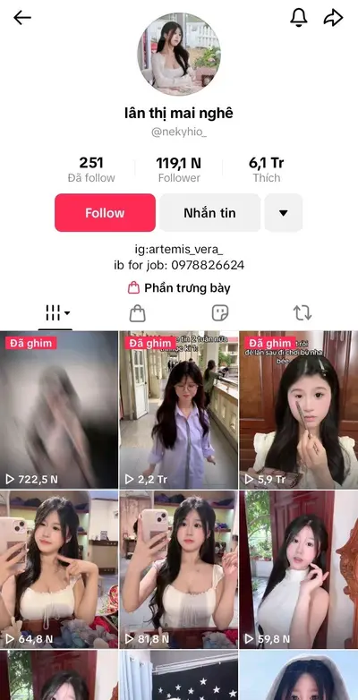 Tiktok asian việt nam cover image
