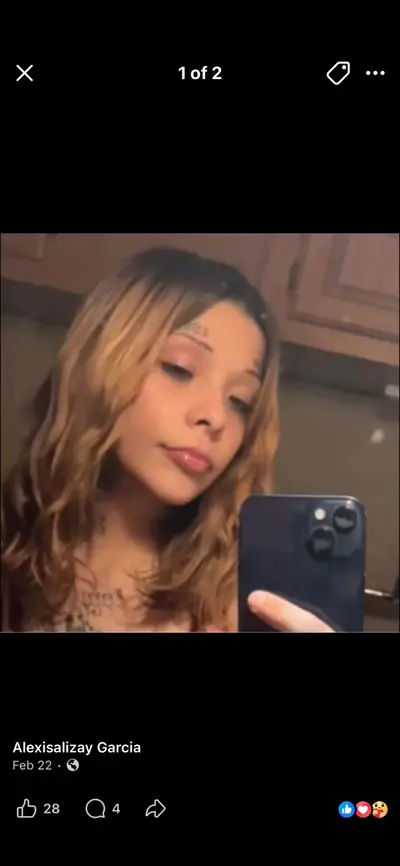 Alice slut Alexis Submission cover image