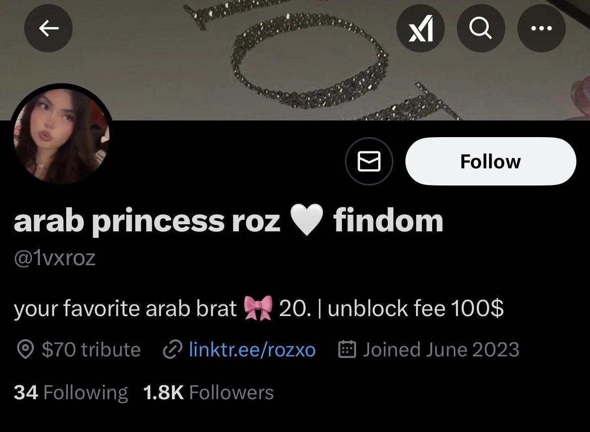 Arab teen slut exposed image 9