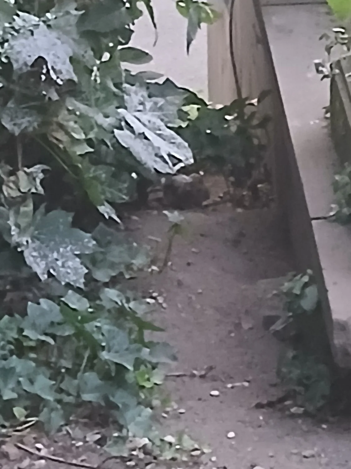 20260703_223505 image 20