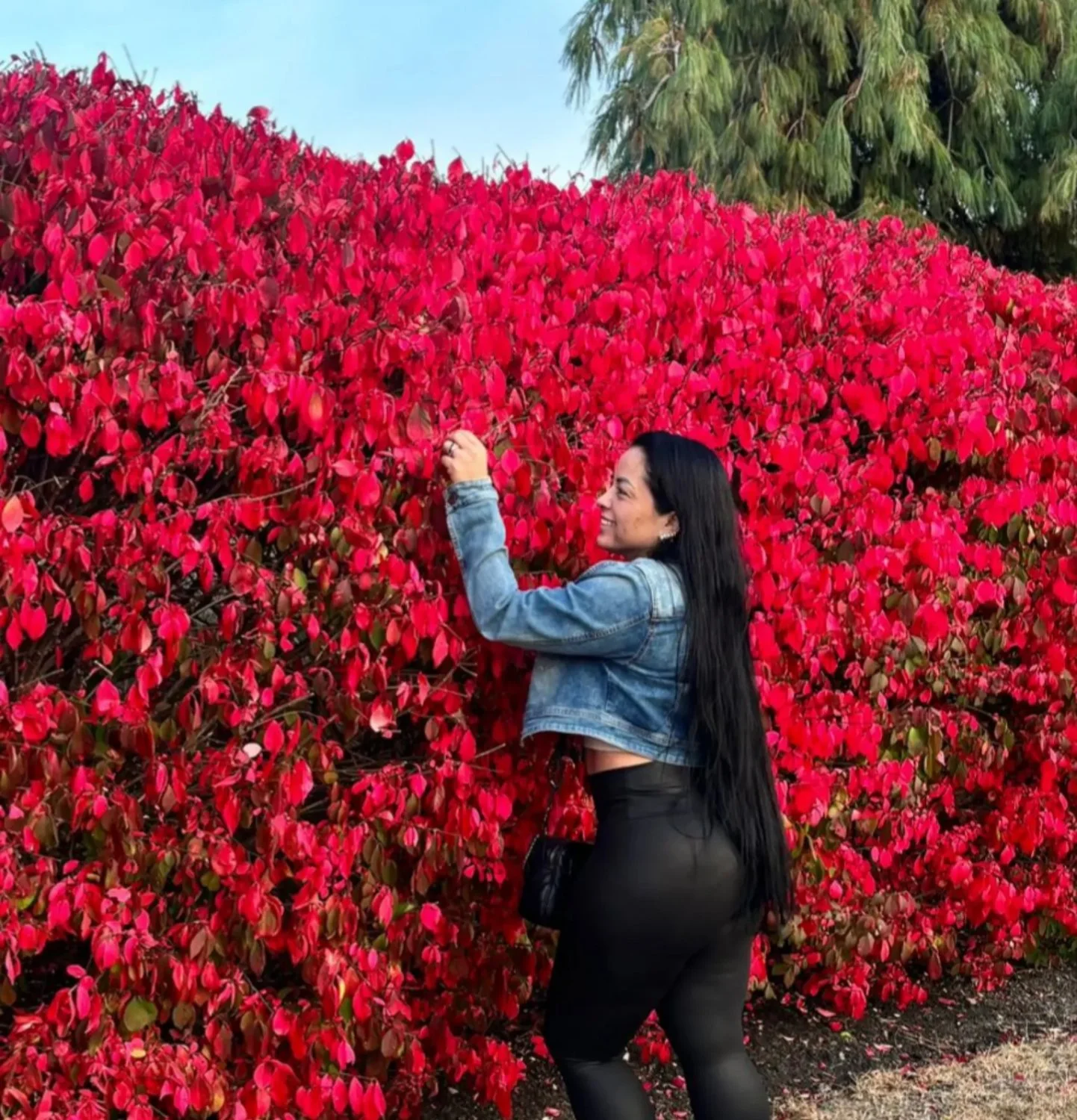 Latina Big ass hotwife main image