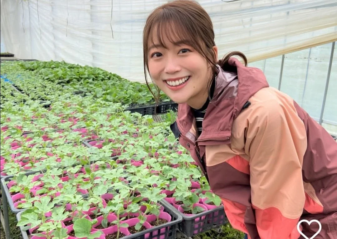 🔚Japanese　顔抜き　アナウンサー　澤井志帆　ソフトエロ　一発やりたい image 8