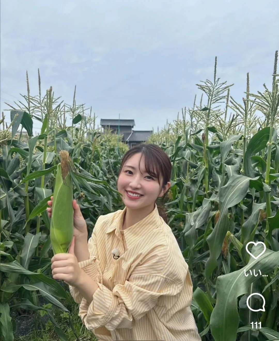 🔚Japanese　顔抜き　アナウンサー　澤井志帆　ソフトエロ　一発やりたい image 9