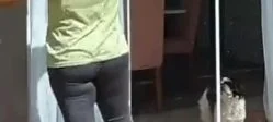 Yt image 9