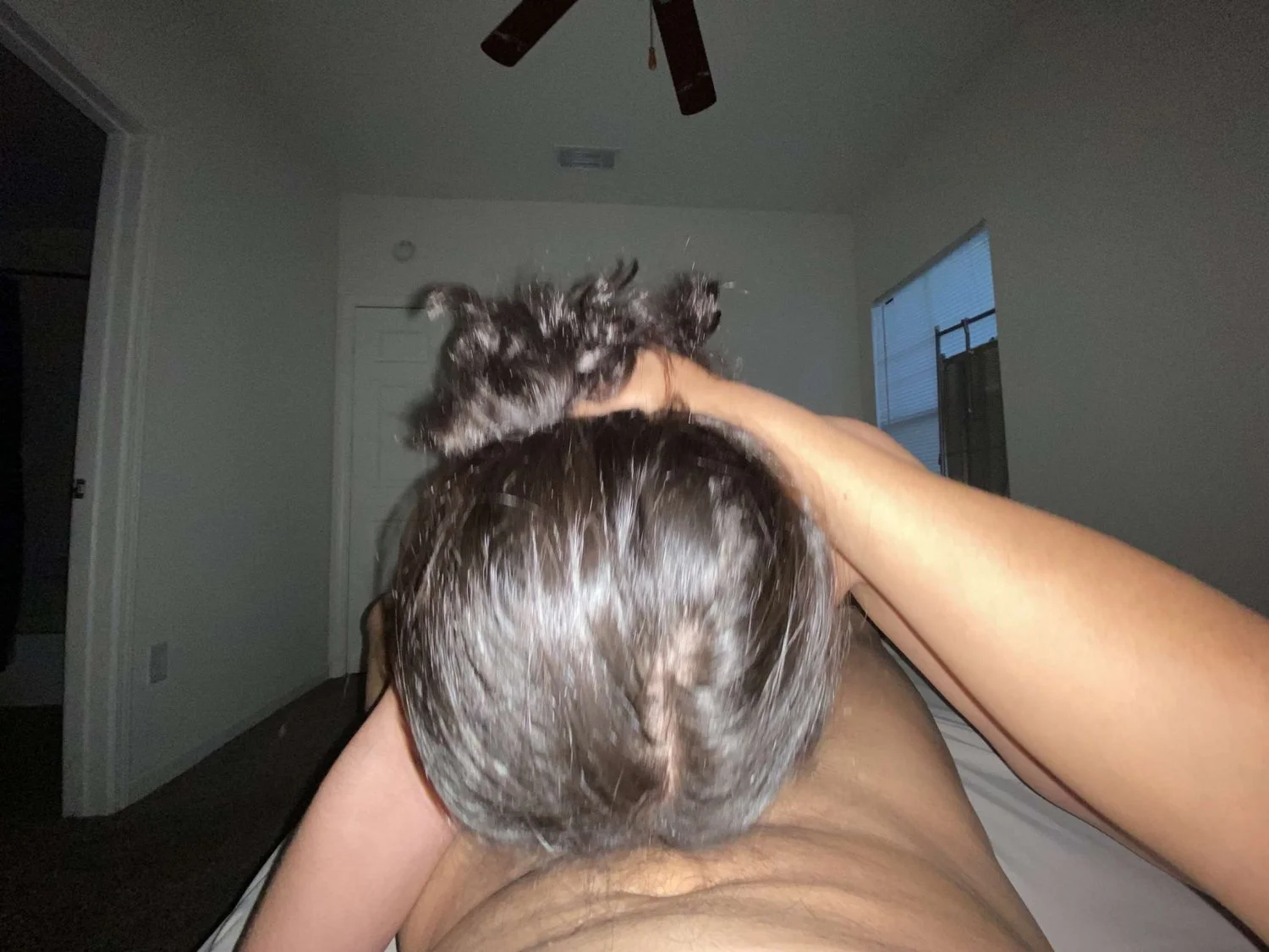 Tx Latina image 15