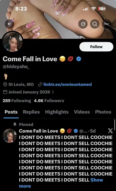 Stl thot cover image