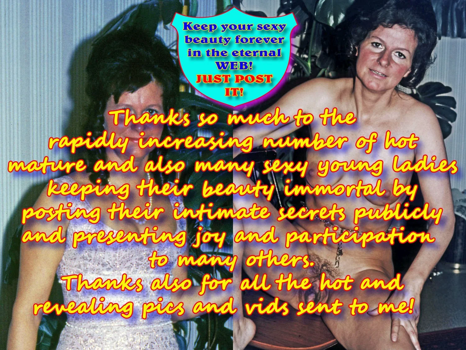 SELINA - Captions - multilingual image 16