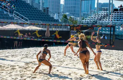 Volleyball cover image