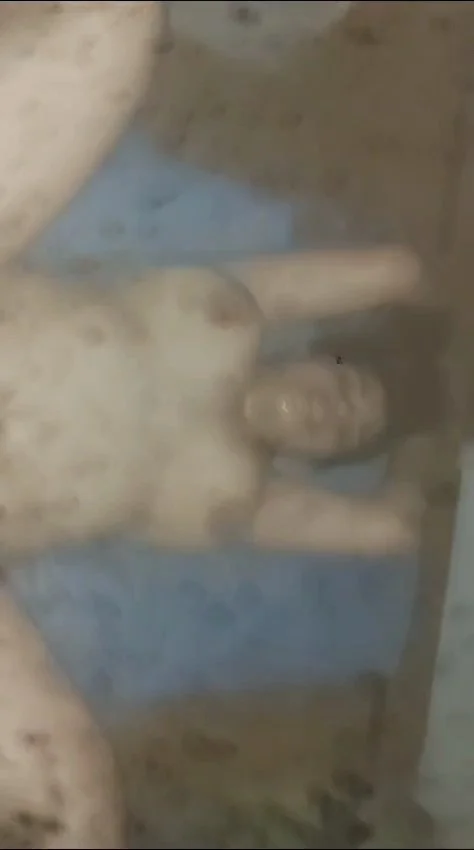 Mí Putita novia le encanta la garganta profunda image 10