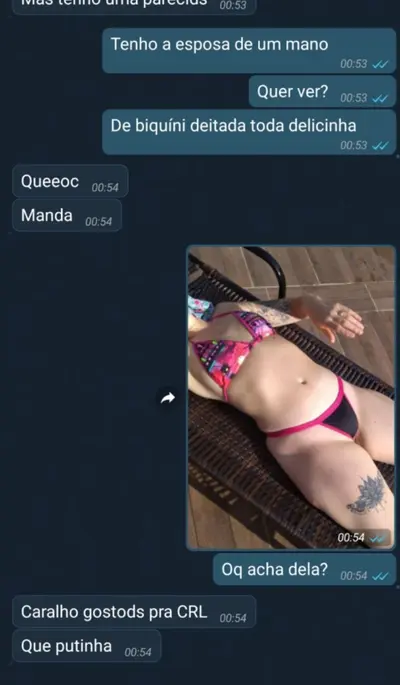 Quem vai explanar ou já explanou minha esposa? cover image