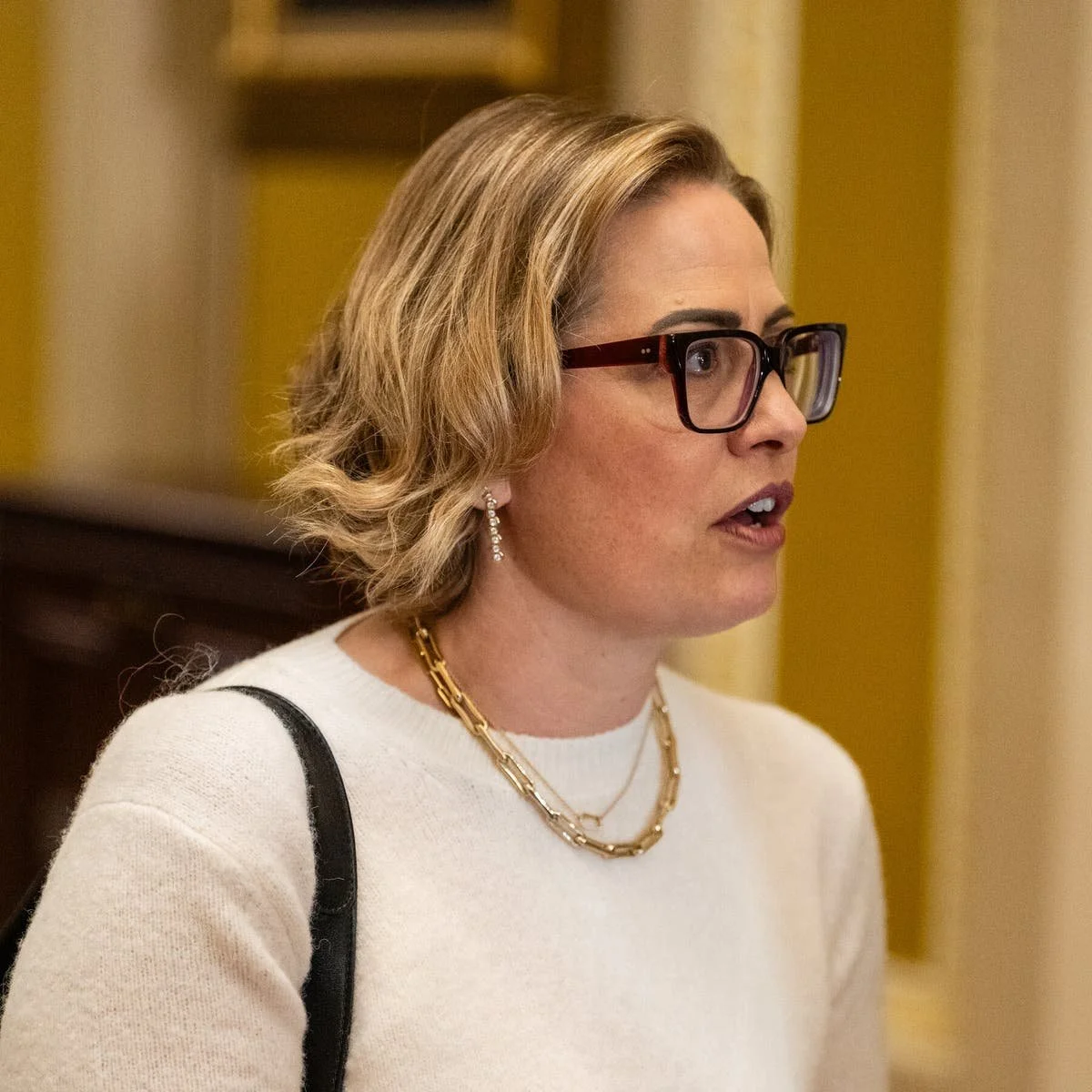 urn-publicid-ap-org-406e8885842342a2a0dbbdb7e98c2cdbElection_2018_Senate_Arizona_51324 image 8