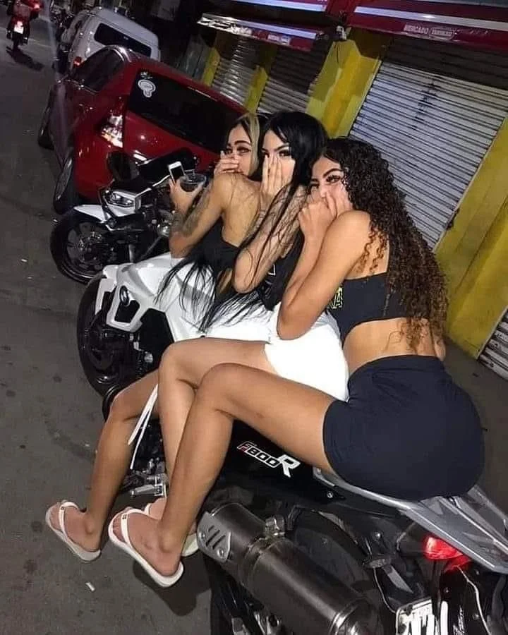 Na Rlk Tropa Do Urso ✌🏻 image 5