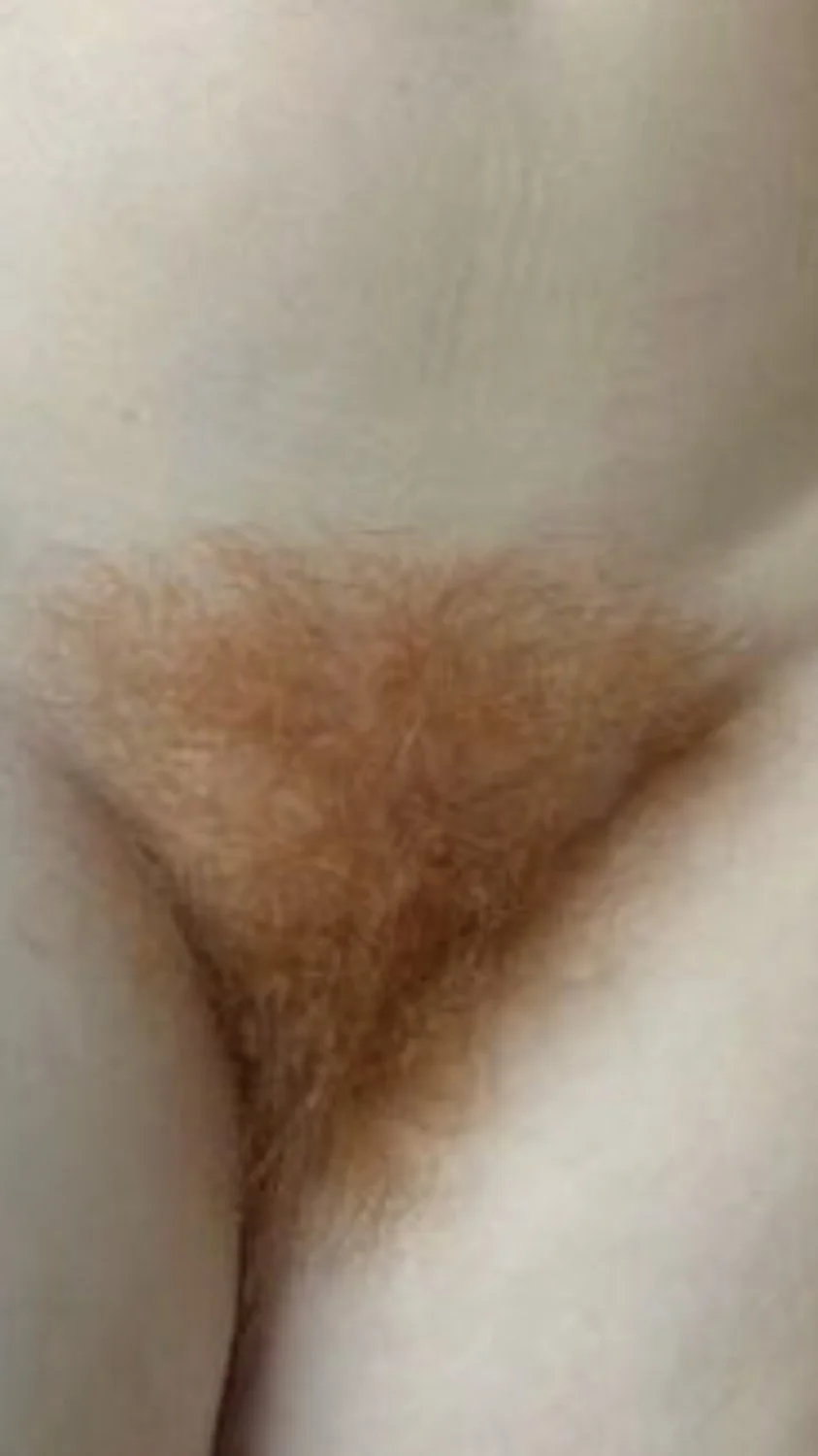 Gingers image 16