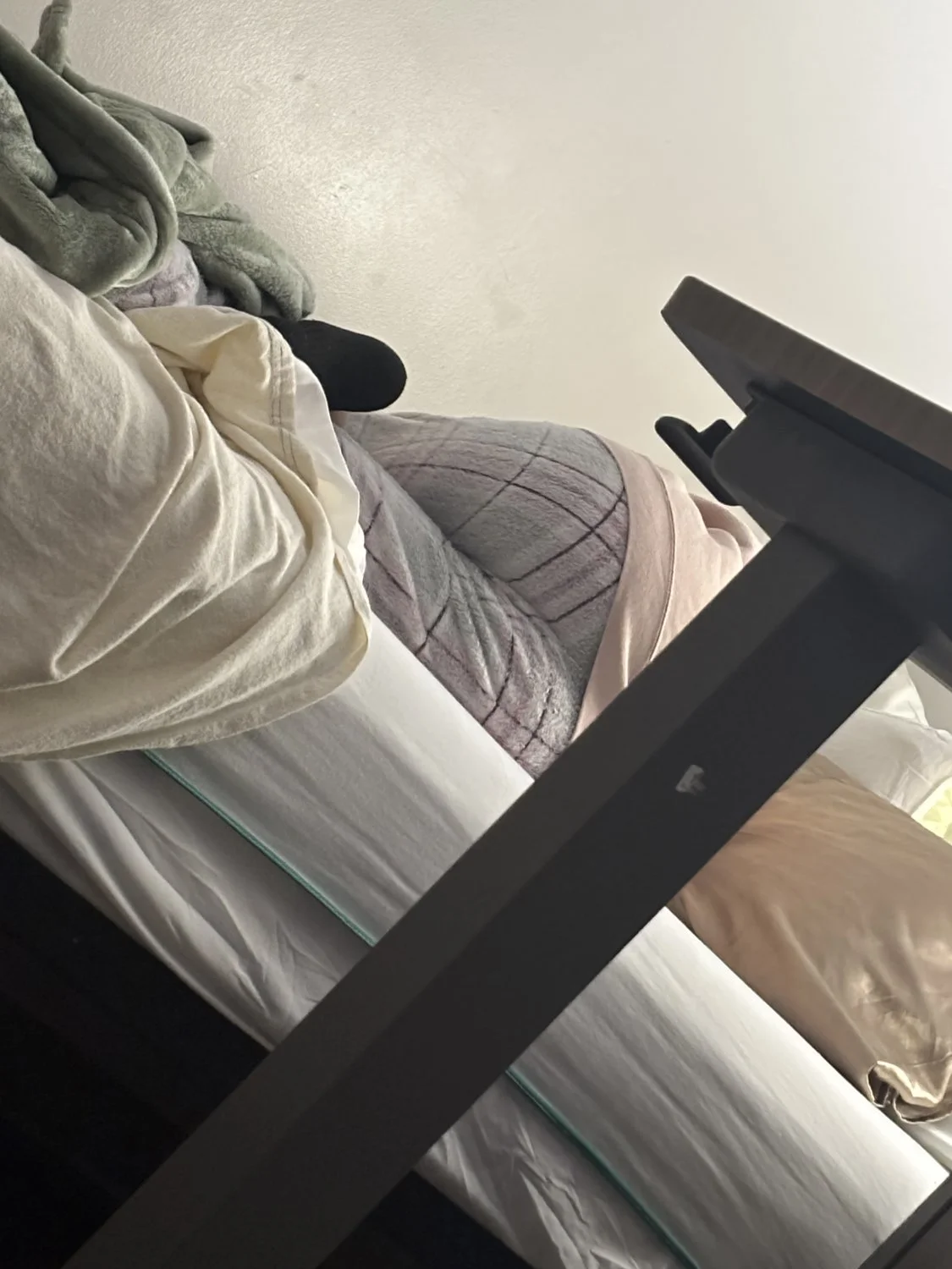 Spy main image