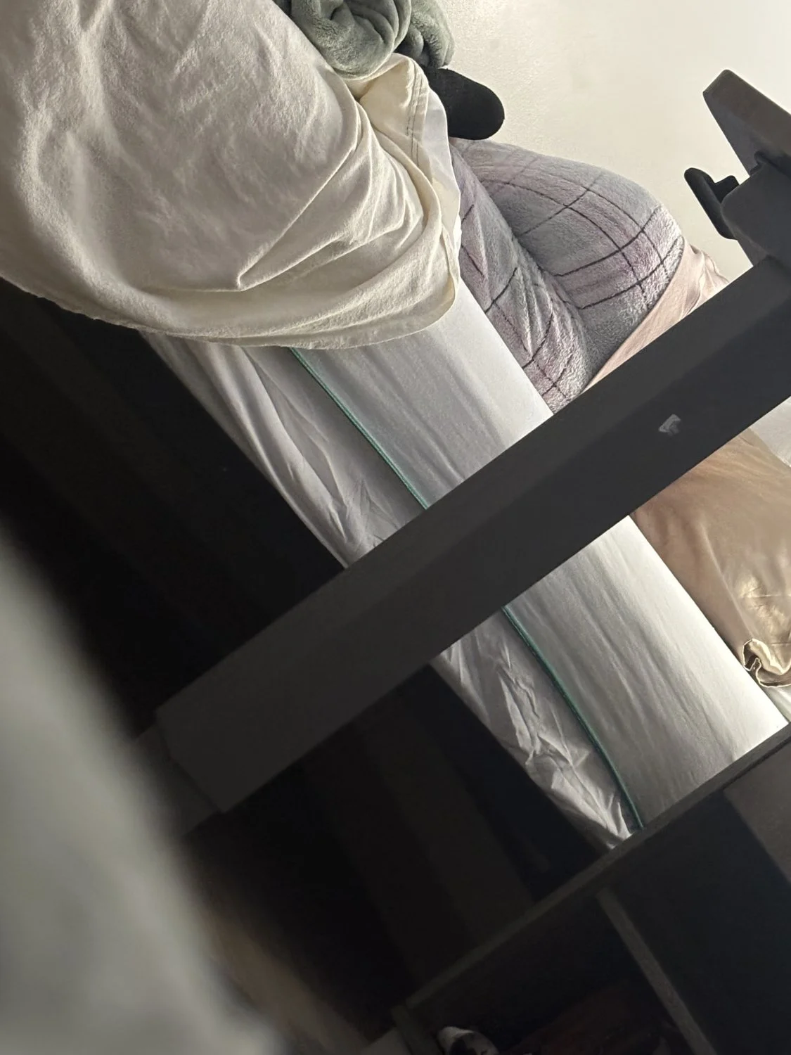 Spy image 2