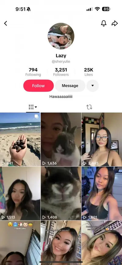 Sherlayz on IG getting fucked by different grown men cover image
