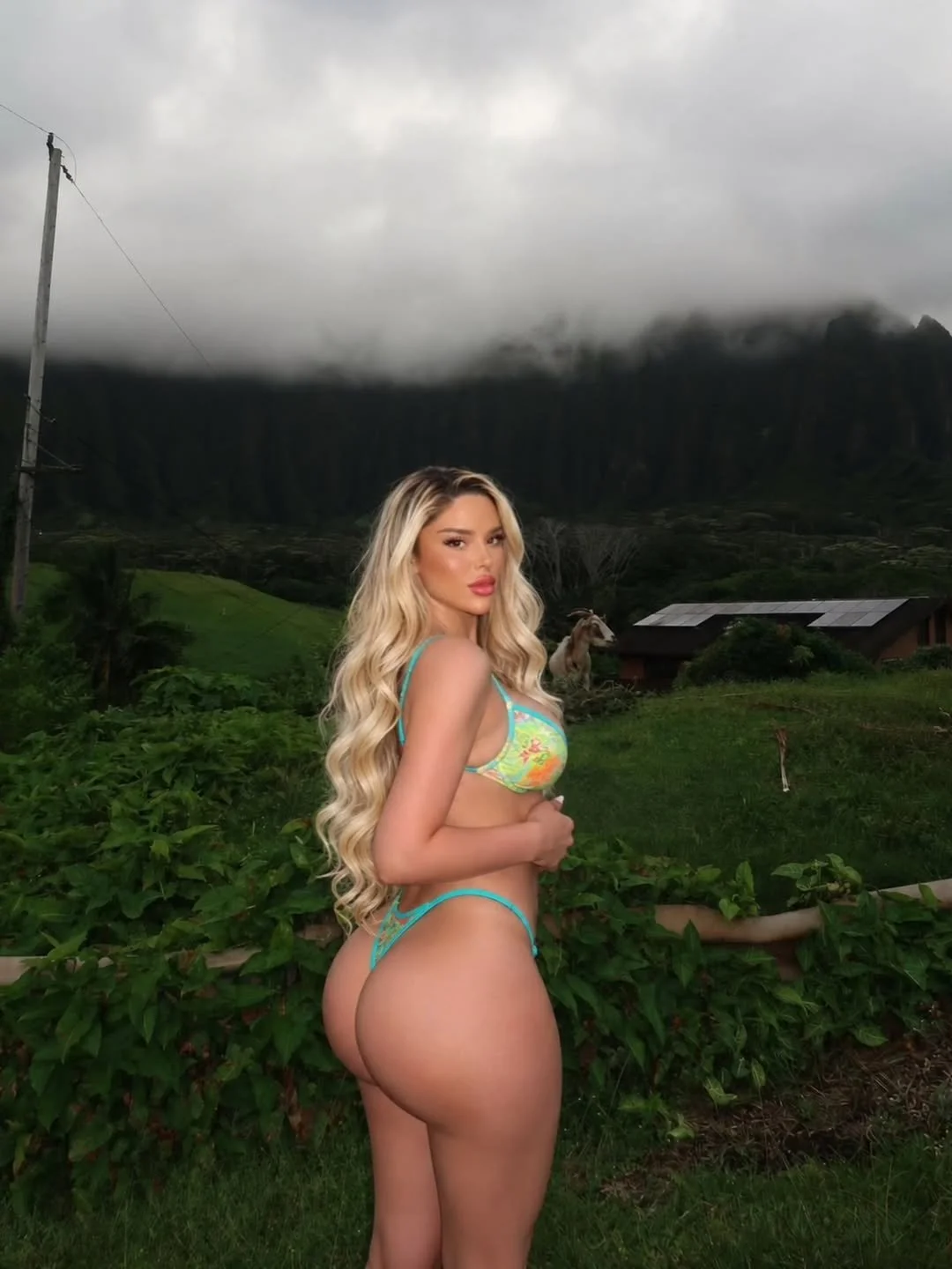 danielle. image 7