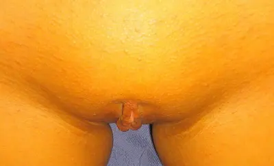 More of Webslut Karly Exposed cover image