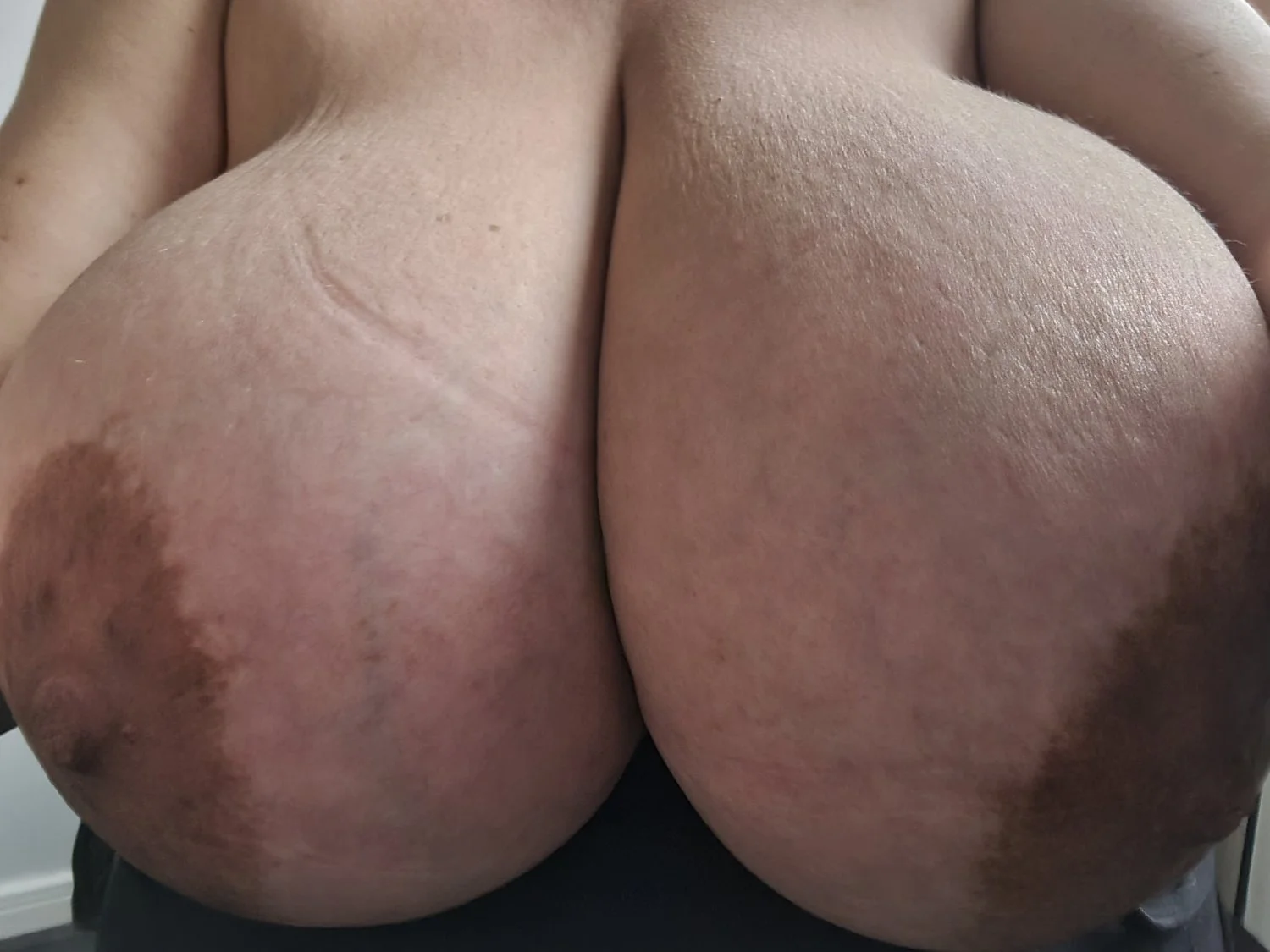 Massive White Udders image 3
