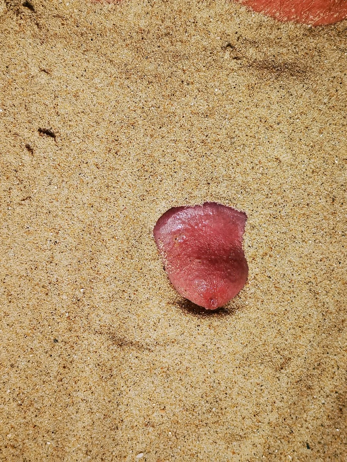 wanking, masturbating, horny @ the beach // Wichsen und geil am Strand image 25