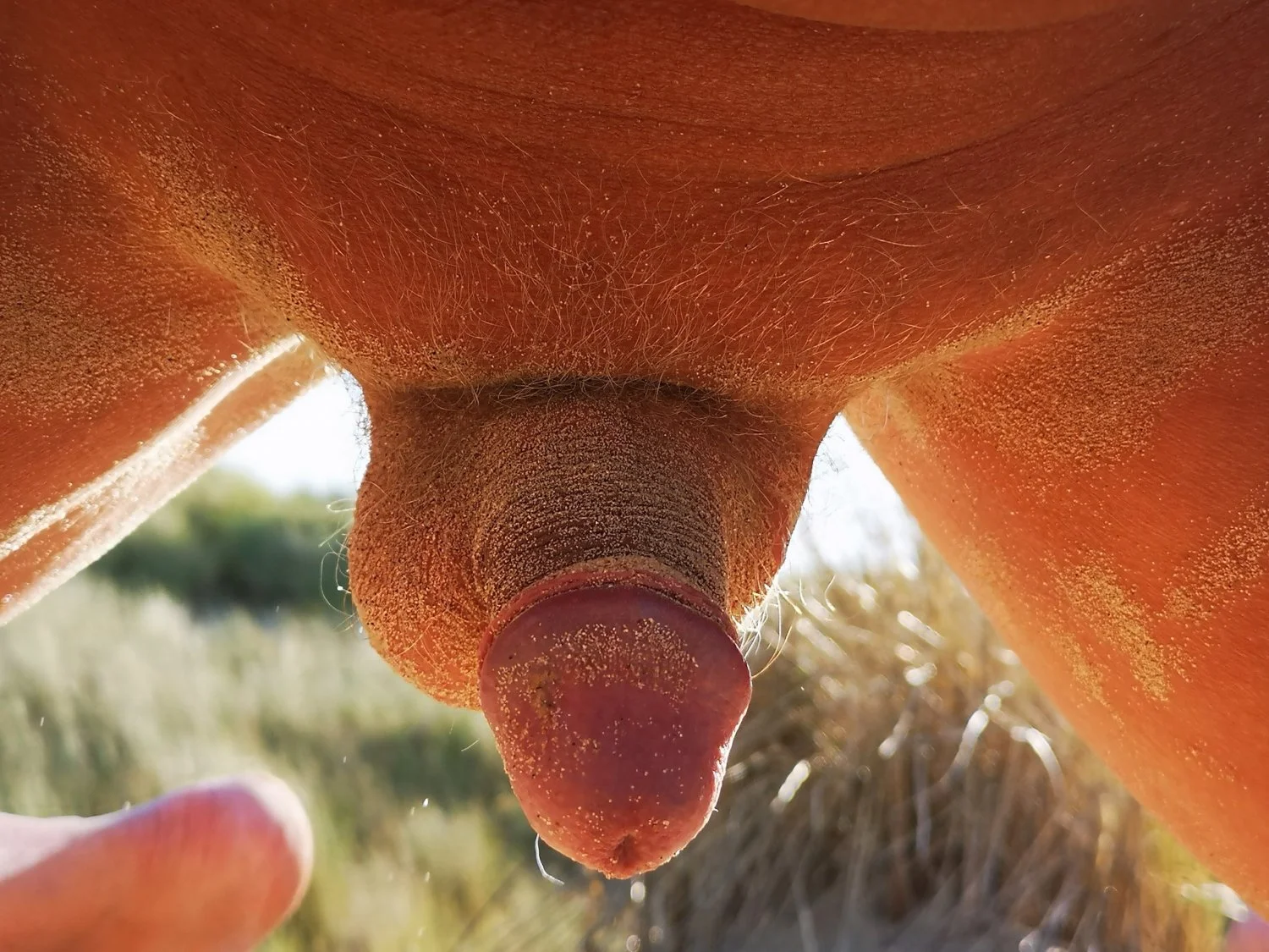 wanking, masturbating, horny @ the beach // Wichsen und geil am Strand image 26