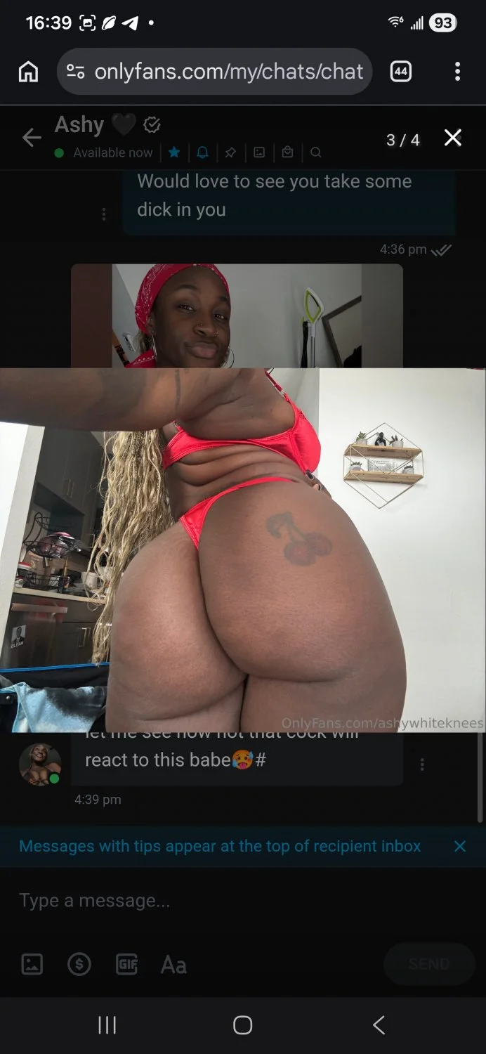AshyWhiteKnees image 2