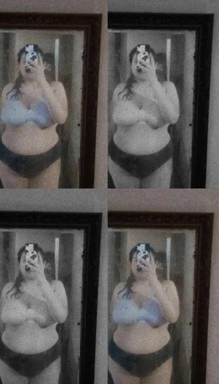 Gabriela una puta gorda humillada image 21