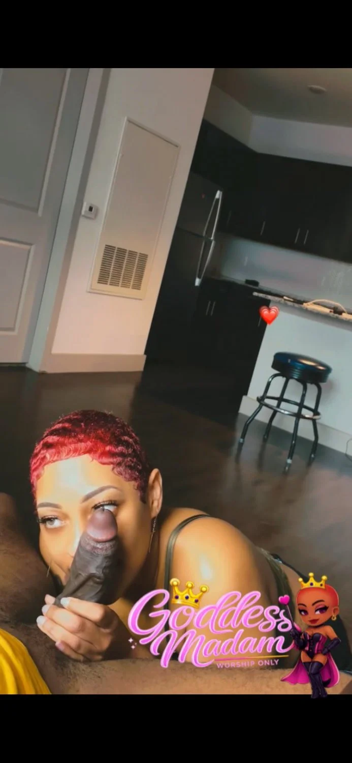 Sluts Back From The Dead 👱🏽‍♀️🧝🏻‍♀️🧟‍♀️ Part 5 image 5