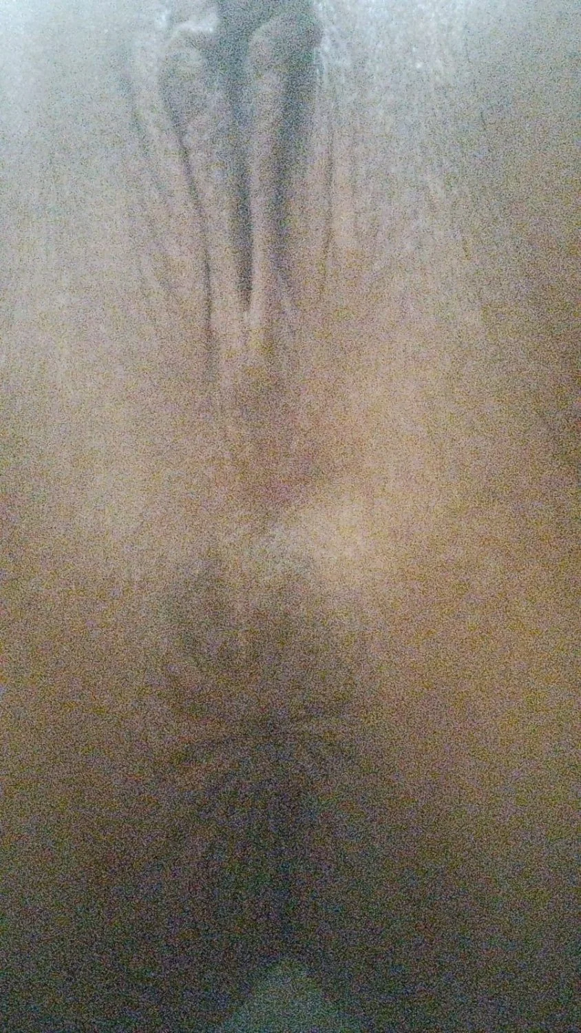Novinha casada peituda cheia de tesão image 12