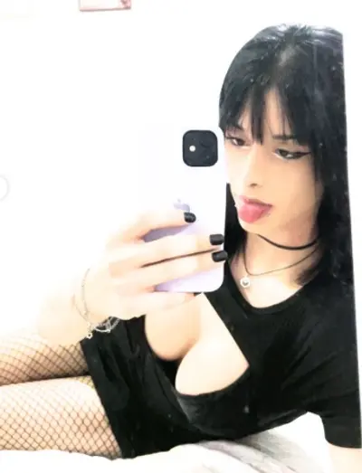 coletânea de fotos cover image