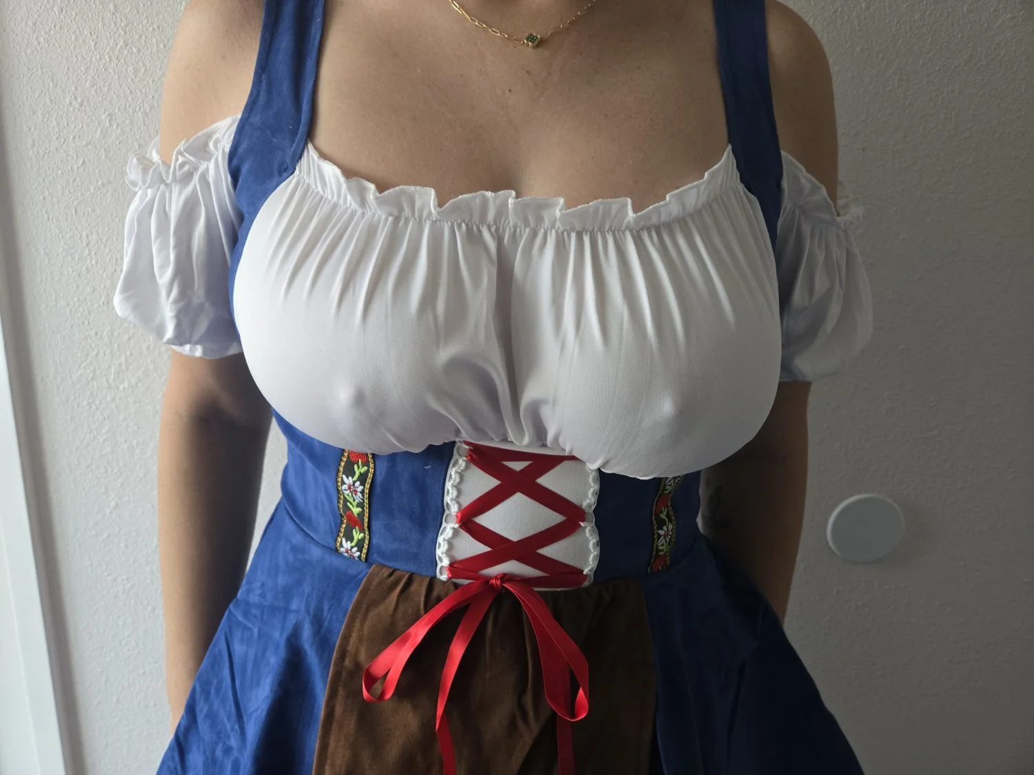 Octoberfest slut image 7