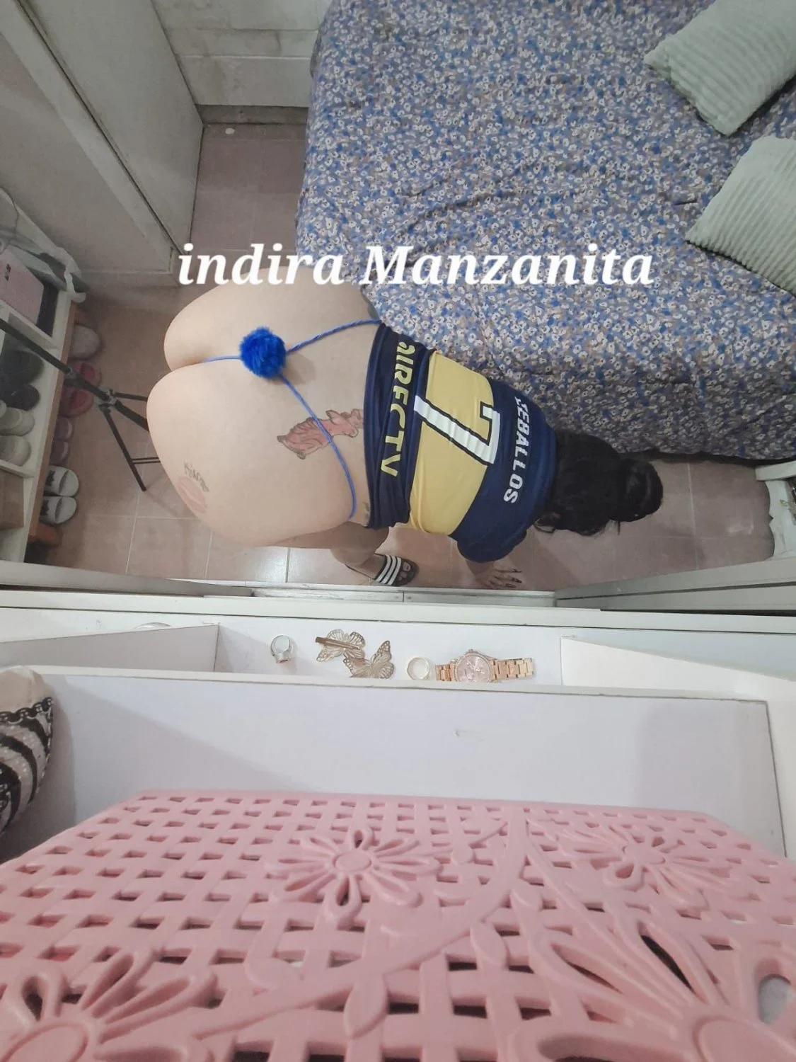 Indira argenta bostera image 6