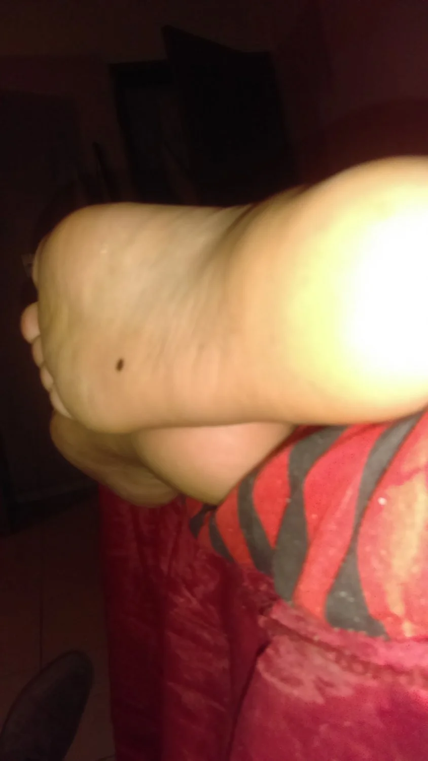Lamiendo los pies de Fernanda dormida image 24