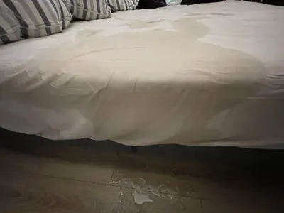 Semen all over the place cover image
