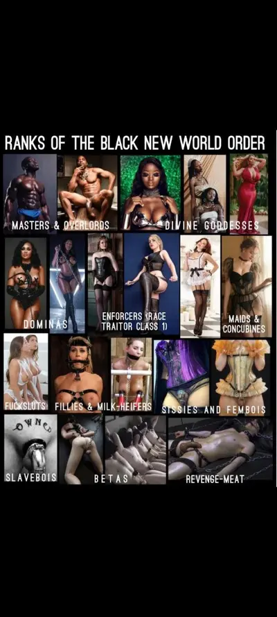 Which Rank Are You? cover image