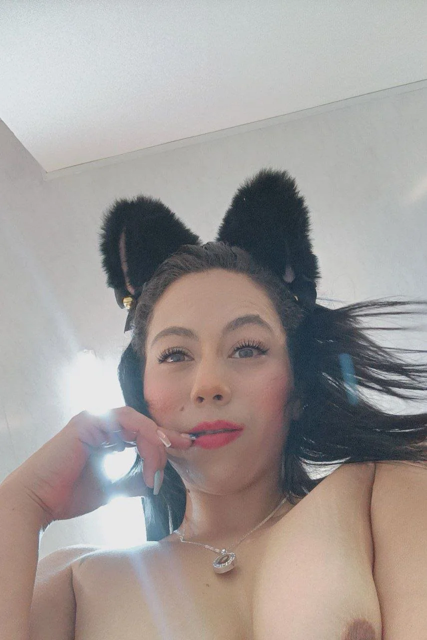 I am a cat that likes to be given a lot of love... image 3