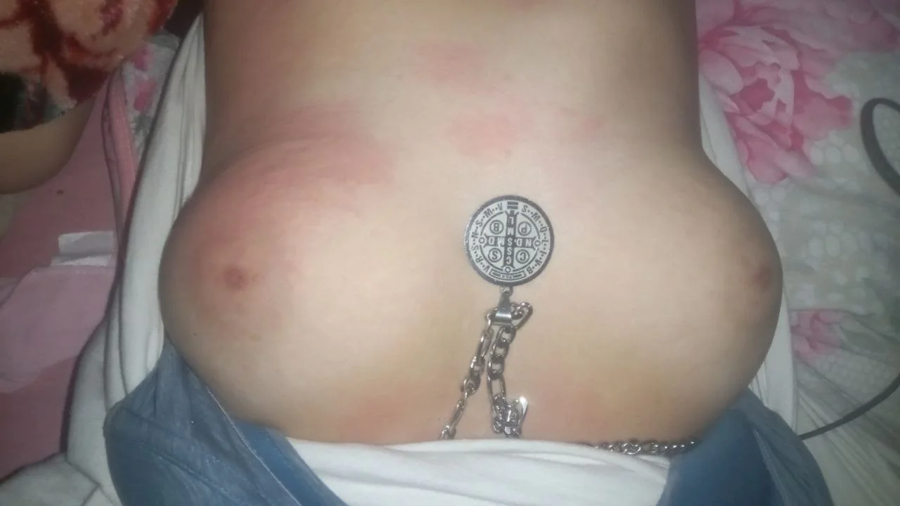 Sulista peludinha image 2