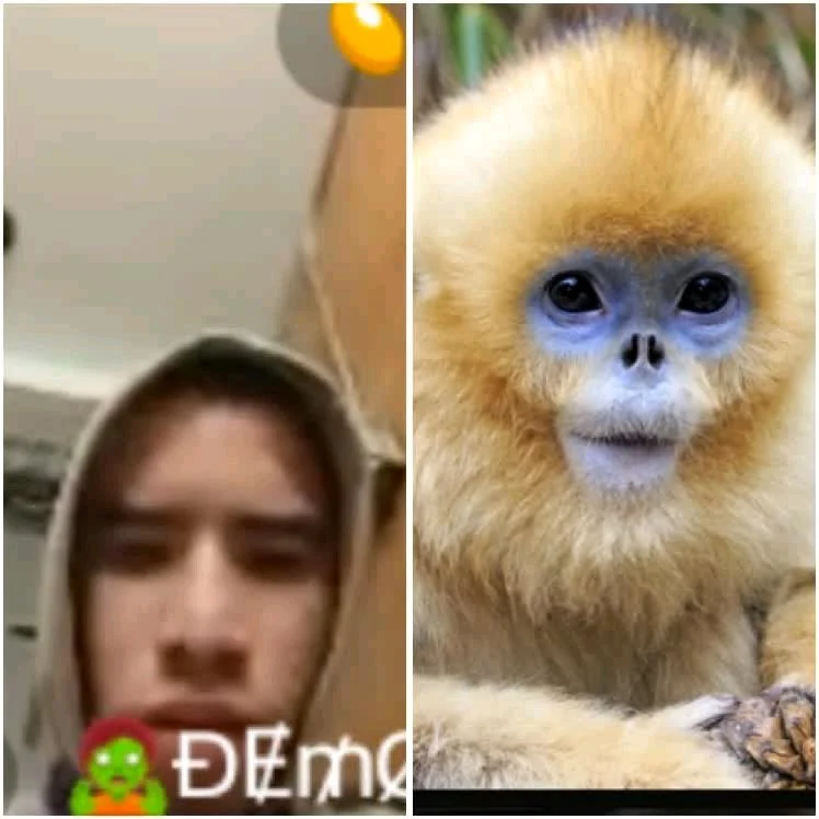 Bingo live thots image 2