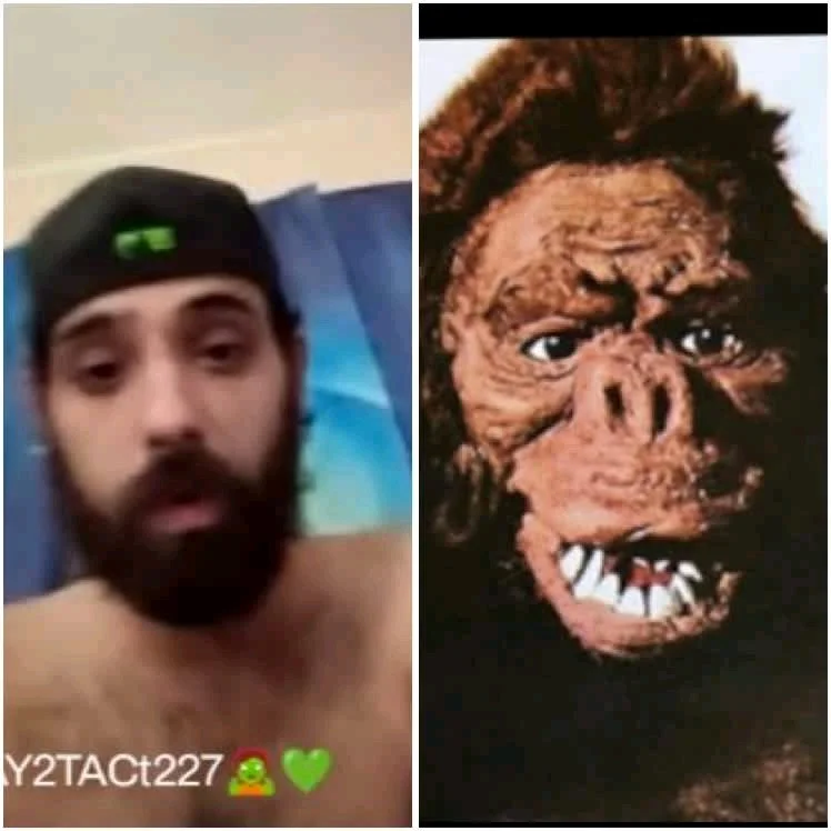 Bingo live thots image 3