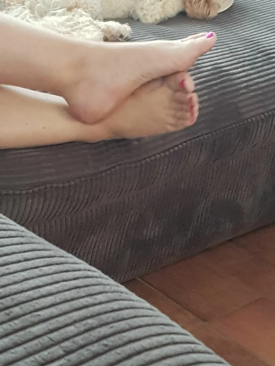 Spy feet main image