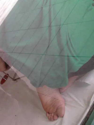 Flagras 4 cover image