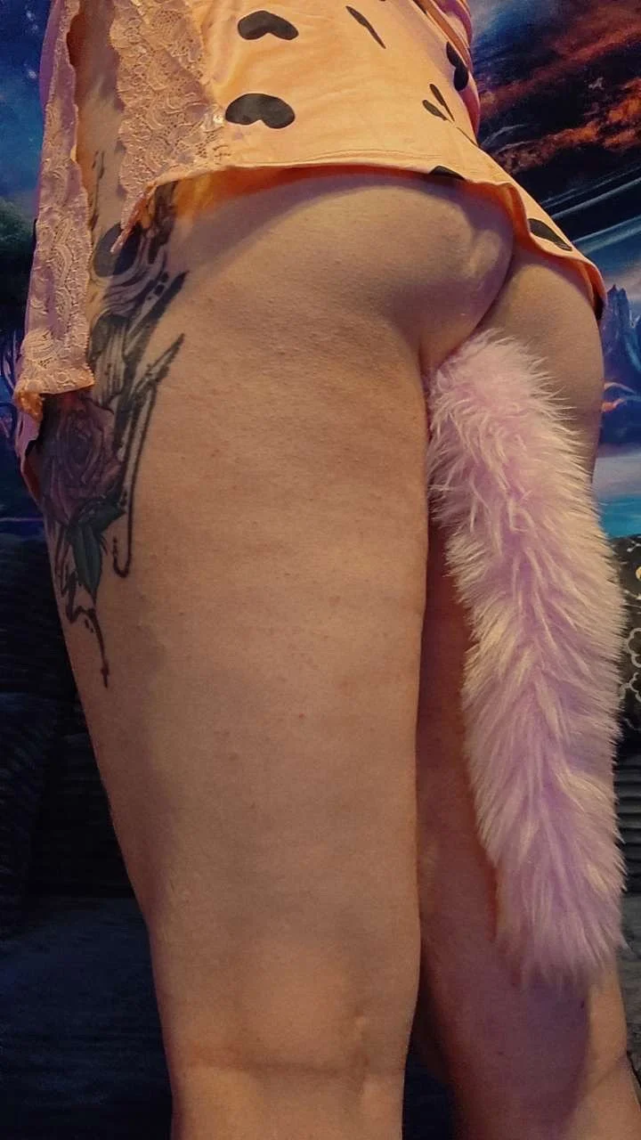 Thick trans slut image 5