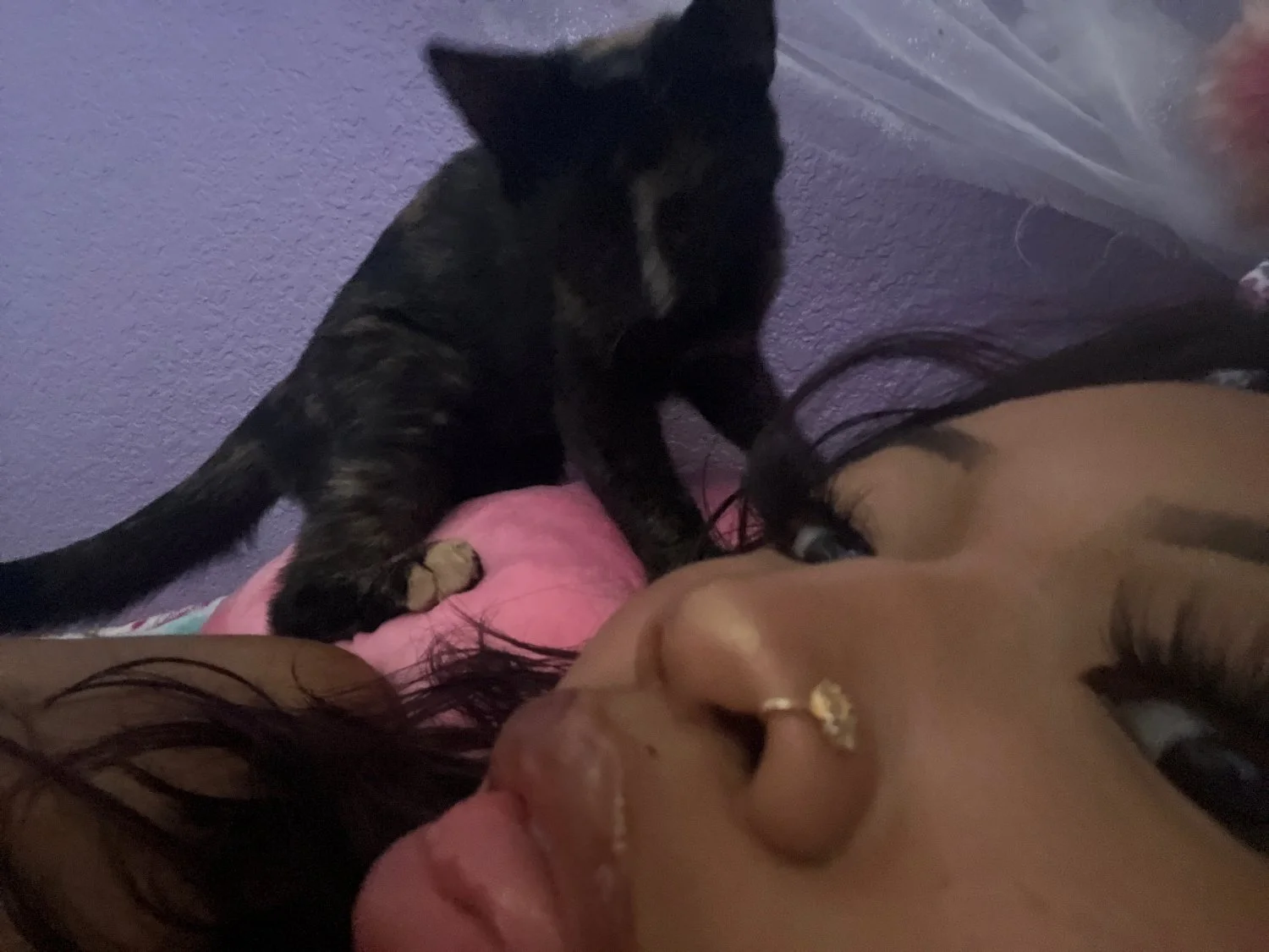 hot teen slut destiny (19) dm me wwyd image 3