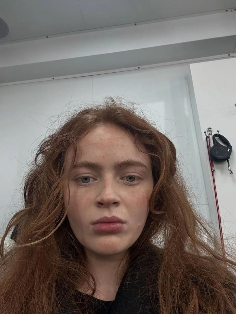 Sadie Sink Fap Collection image 29