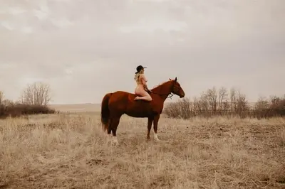 Friends wife on a horse boudoir cover image