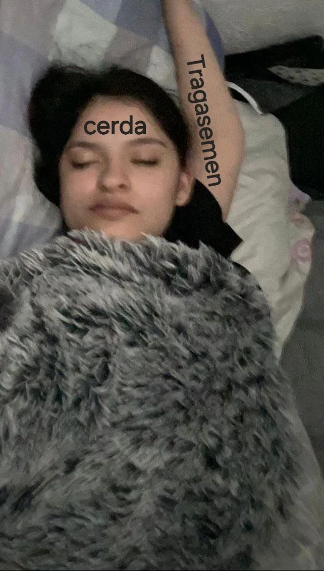 Puta cerda Humillada image 5