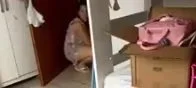 Yt image 27